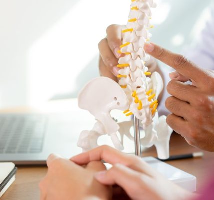 The Expertise of Gloria Willett Mastering Spine Surgery