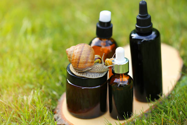 Klove Snail Mucin Serum on Sunburn? Here’s What Happened