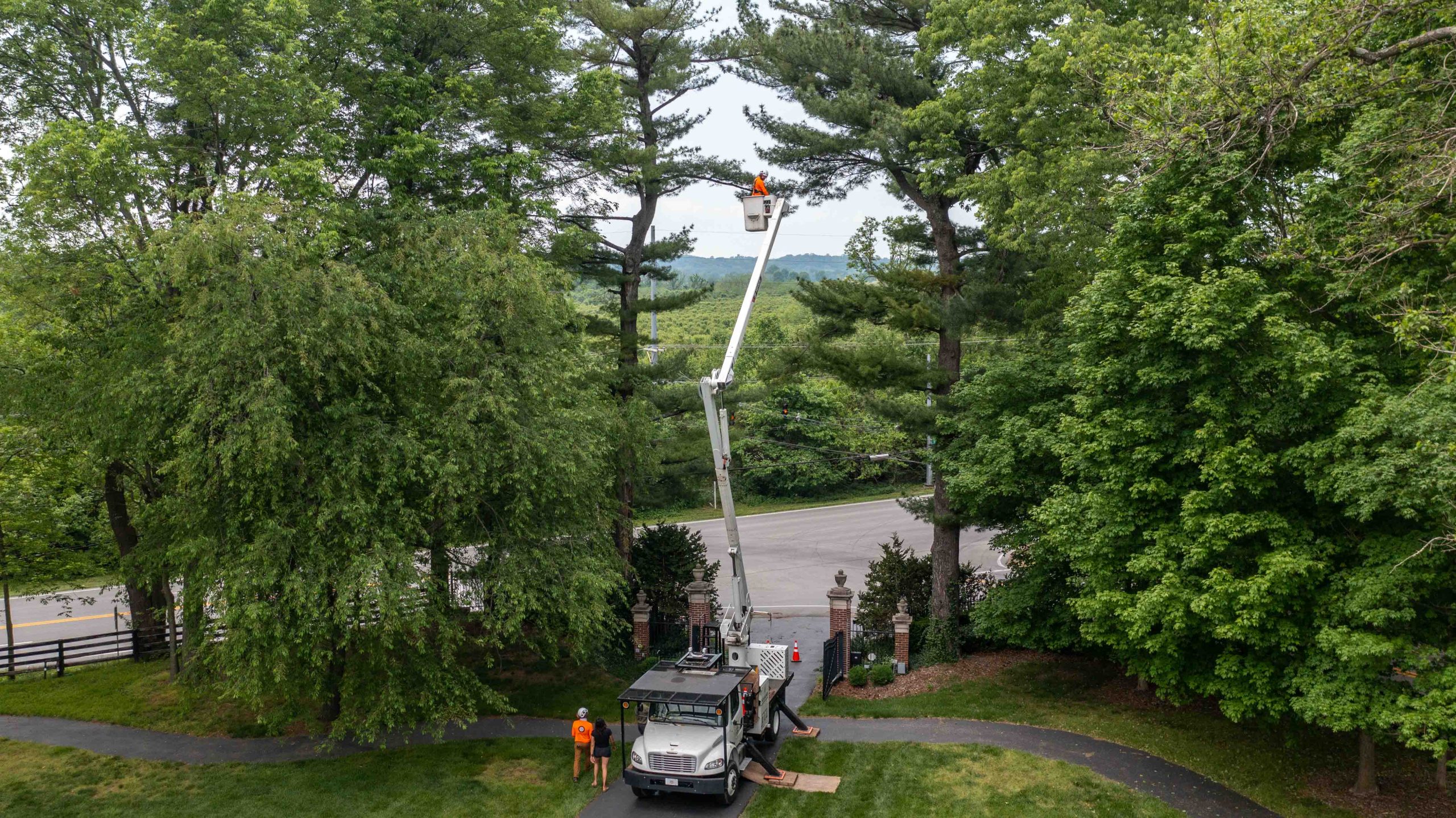 Why Tree Service After Heavy Snowfall Is Critical: Protect Your Property & Tree Health
